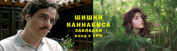 ПСИЛОЦИБИНОВЫЕ ГРИБЫ Бронницы