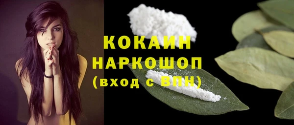 дурь Бородино