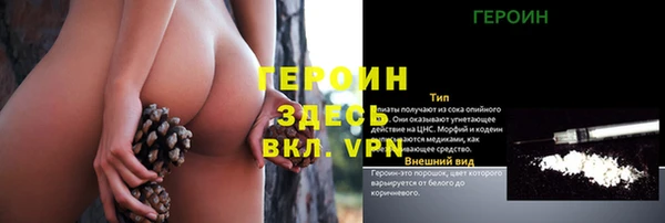 дурь Бородино