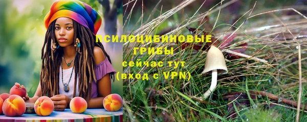 ПСИЛОЦИБИНОВЫЕ ГРИБЫ Бронницы
