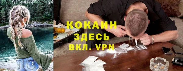 дурь Бородино