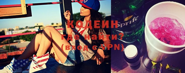 дурь Бородино