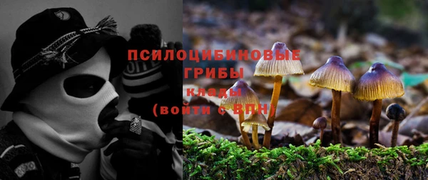 стаф Верхний Тагил