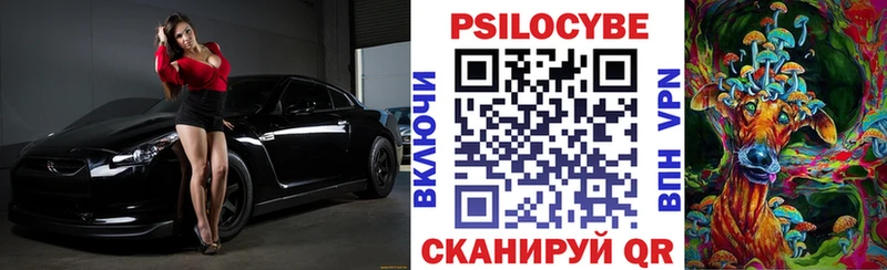 Псилоцибиновые грибы MAGIC MUSHROOMS  MEGA зеркало  Луга  купить наркоту 